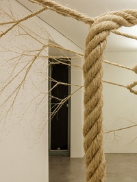 Бразильці вирощують «дерева з канатів» у галереях