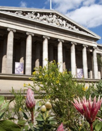 Британський музей досягнув піку відвідуваності