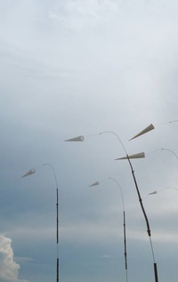 У Києві стартує дводенний ленд-арт фестиваль "Вітер"