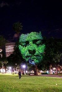 Австралійський митець влаштує світлове шоу на деревах у Києві