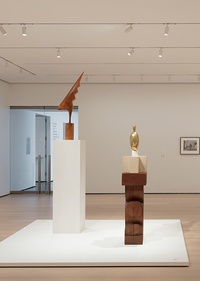 MoMA презентував виставку, присвячену Бранкузі