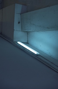 “Простір світла”: у Полтаві покажуть фотовиставку Дмитра Богачука