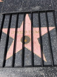 У Голлівуді митець “ув’язнив” зірку Трампа на Алеї слави