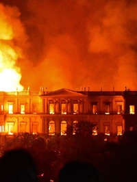 Пожежа знищила Національний музей Бразилії з величезною колекцією