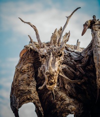 Дерев’яні дракони та інші скульптури Джеймса Дорана
